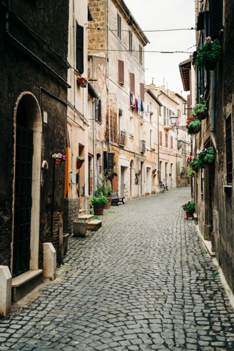 viterbo street