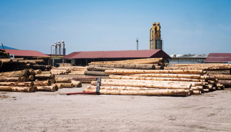 immagine con tronchi d'albero in orizzontale